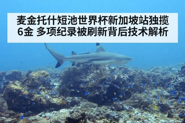 麦金托什短池世界杯新加坡站独揽6金 多项纪录被刷新背后技术解析
