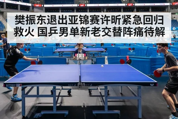 樊振东退出亚锦赛许昕紧急回归救火 国乒男单新老交替阵痛待解